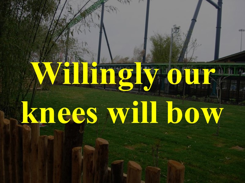 Willingly our knees will bow